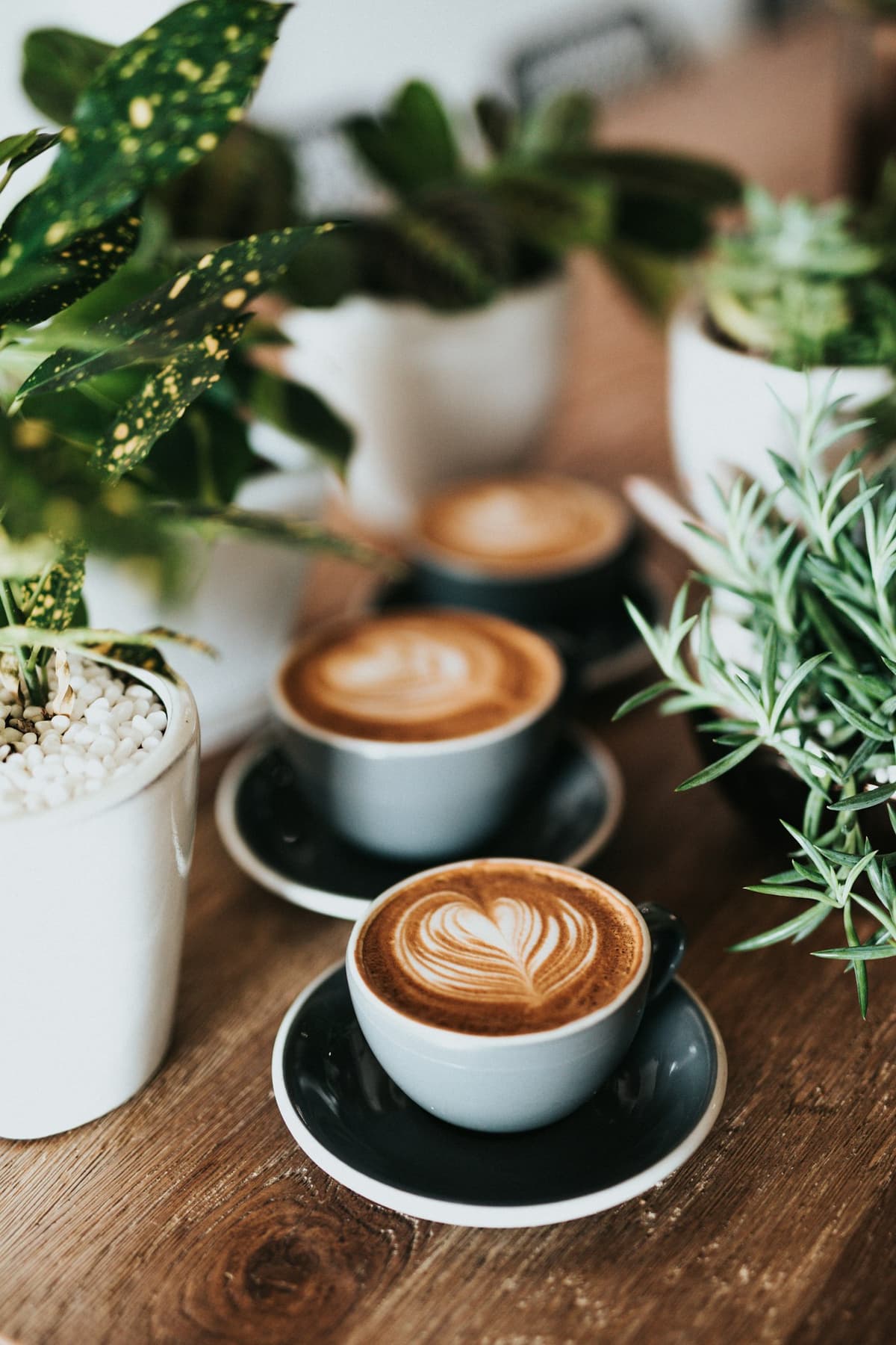 Premier café
